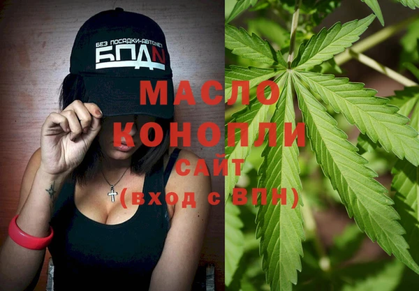 молекула духа Няндома