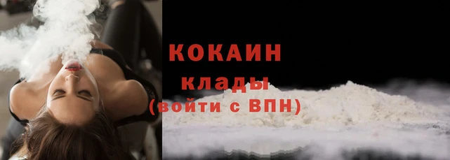 молекула духа Няндома
