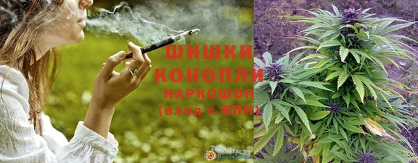 молекула духа Няндома