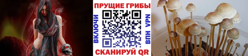 Псилоцибиновые грибы GOLDEN TEACHER  Красновишерск 